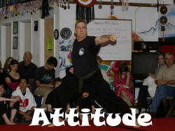 Attitude